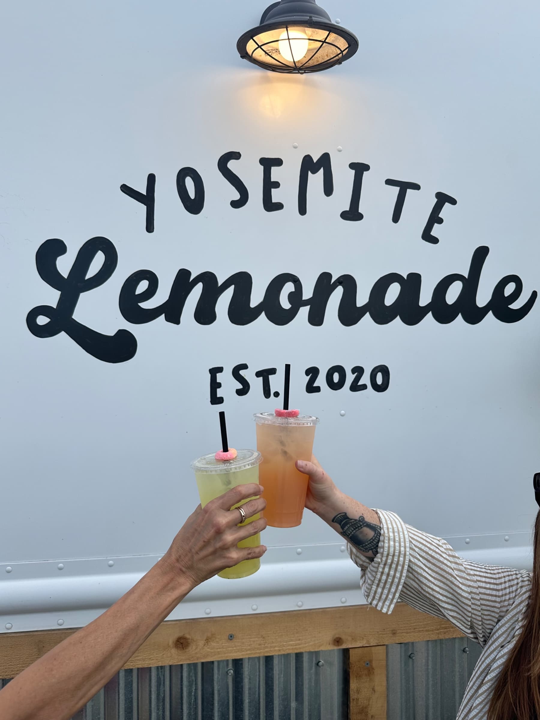 Yosemite Lemonade logo